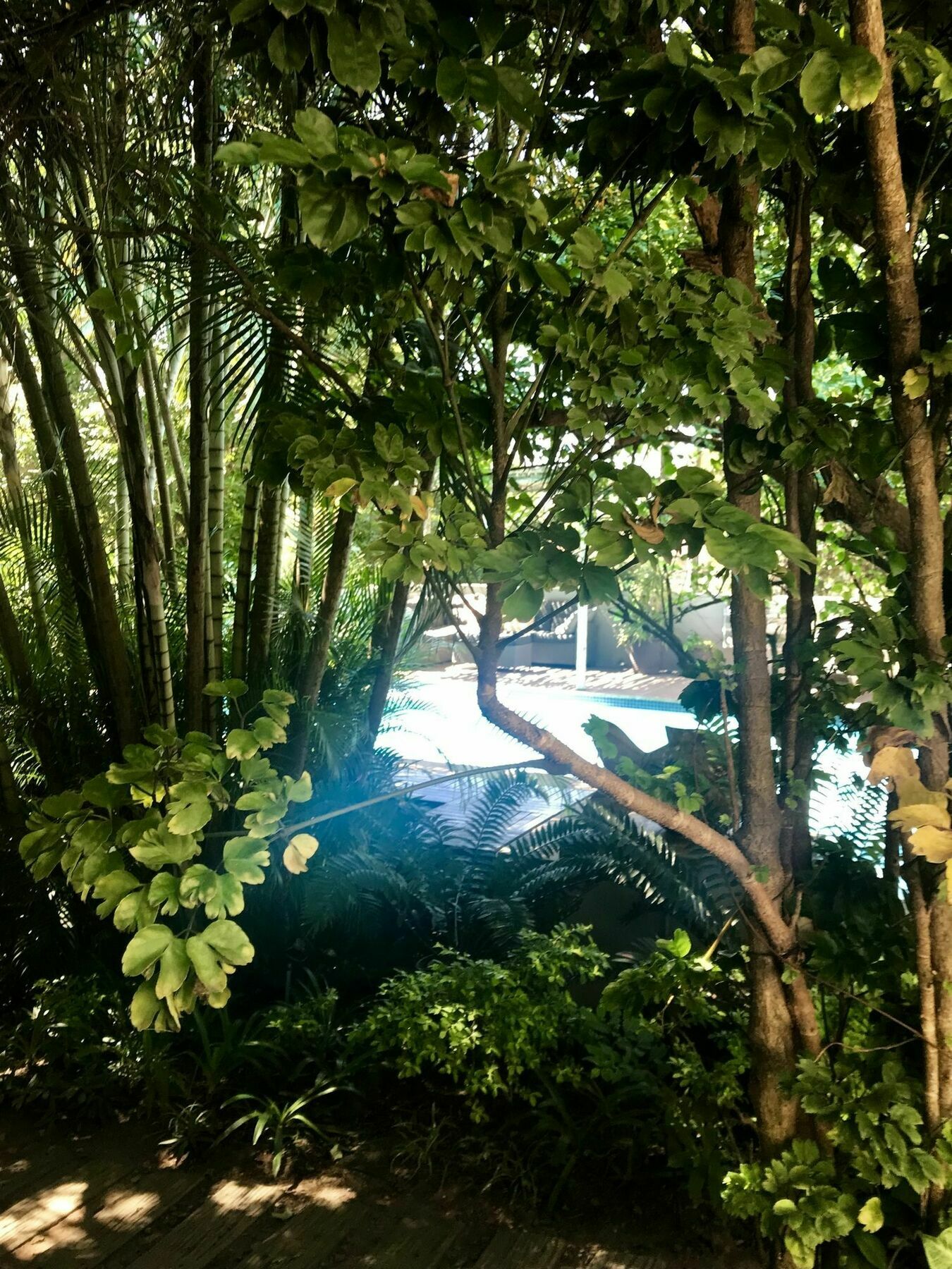 Beach Forest Lodge Ballito Bagian luar foto